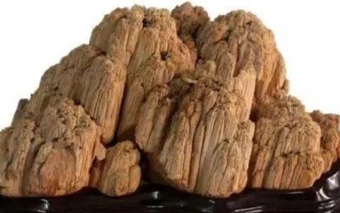 【津味赏石】木石心缘