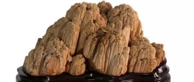【津味赏石】木石心缘