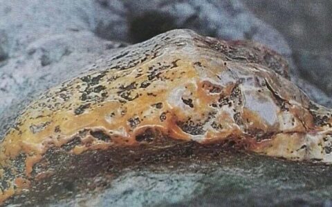 秀美的宋代赏石（五）：文献所见表、质、色