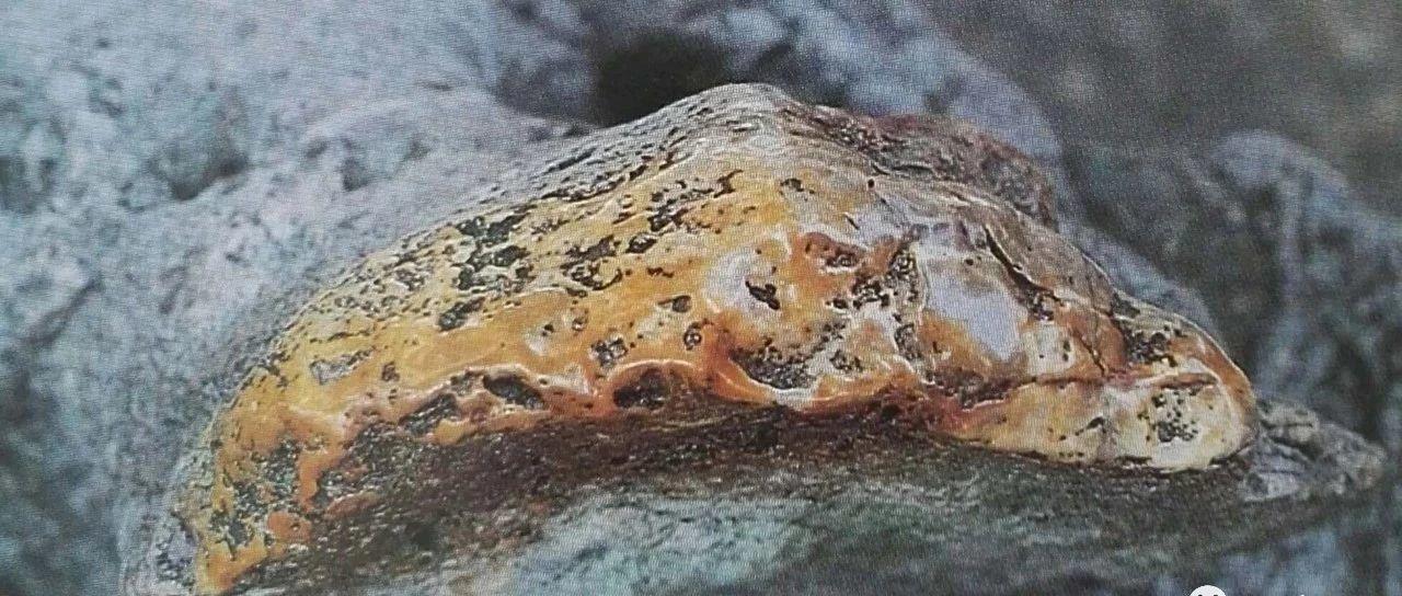 秀美的宋代赏石（五）：文献所见表、质、色