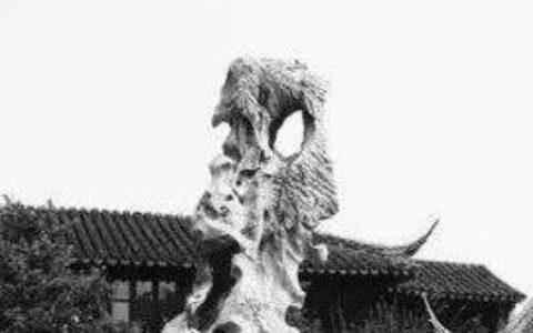 说起太湖石