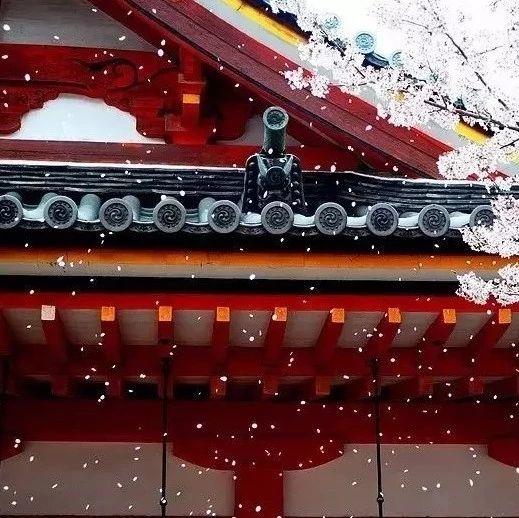 眼宽能容天下景，心宽能容天下事