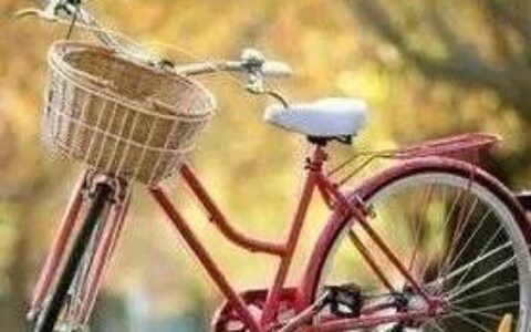 人生就像自行车