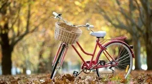 人生就像自行车