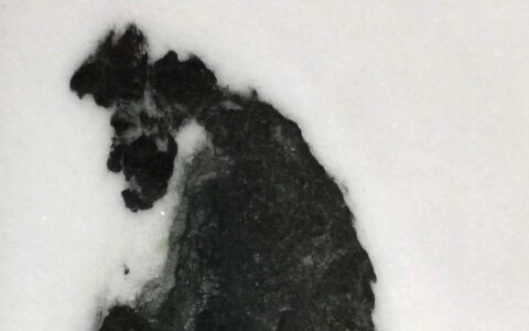【诗赏雅石】我自成峰
