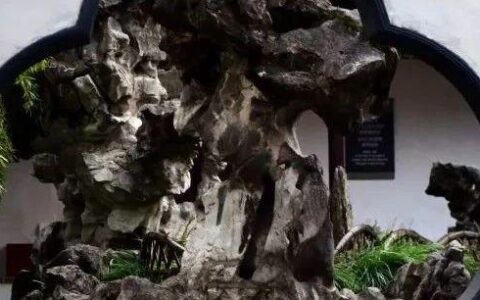 园林古石的保护问题