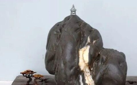 盘江瀑布石的石事、石语