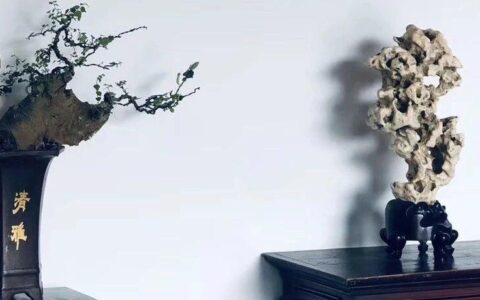 朱良志：古人对石头的审美