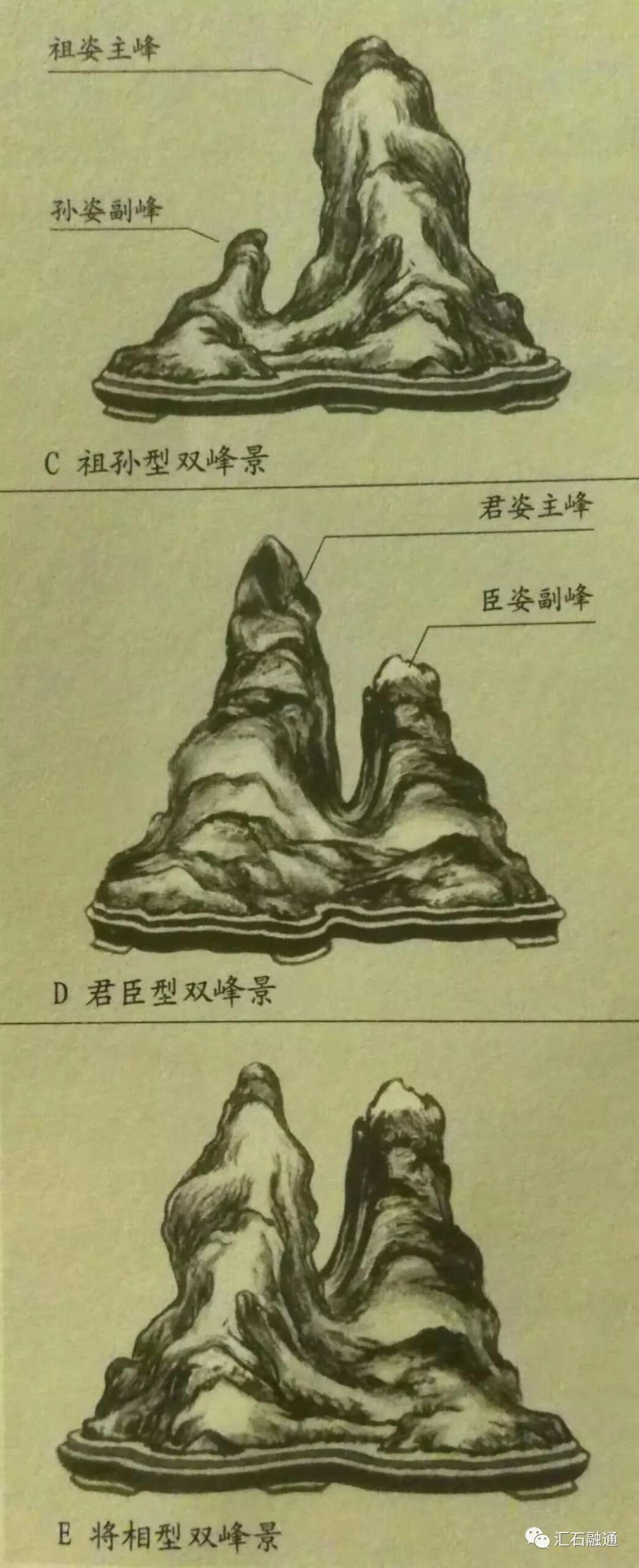 张卫：全景景观石分类要求详解