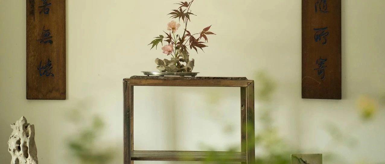 一世功课，尽在人间草木