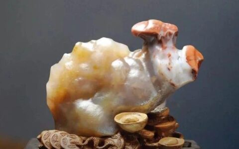 观赏石，要么独一无二，要么泯然众石。