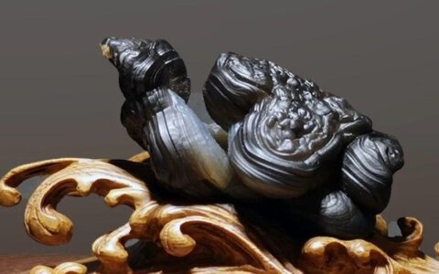 诗赏雅石｜何宝宽藏石欣赏