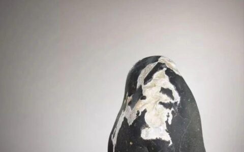 长江石的形、色、质、纹。