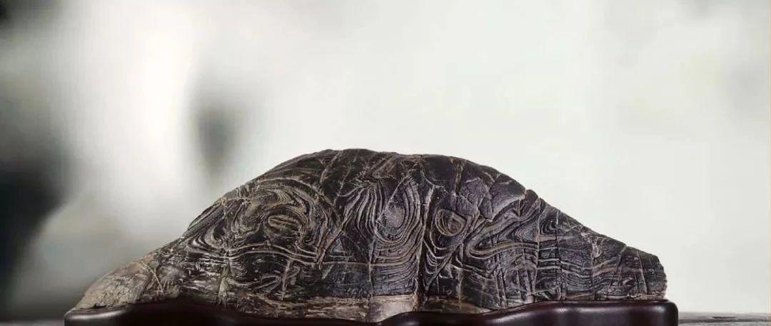 简单，赏石。