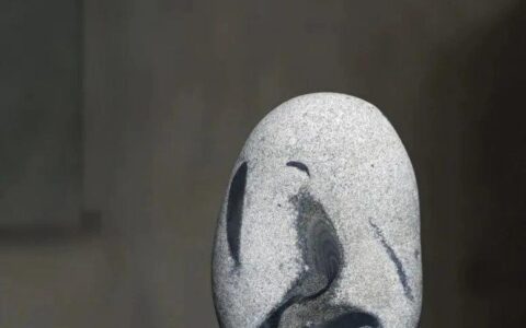 图纹石的收藏要点。