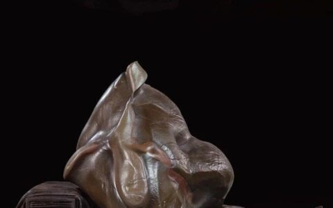 赏石文化，应多元化发展。