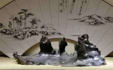张卫：抱团取暖冷成狗