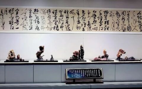 俞莹：石头也玩“混搭”，小品组合石带你领略“表现的艺术”