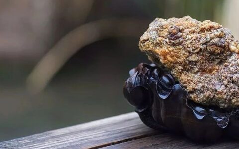 清明念祖话传扬｜浅谈当代赏石传承的意义