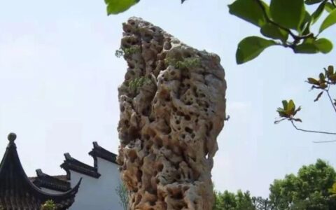 俞莹：“四大名石”溯古今