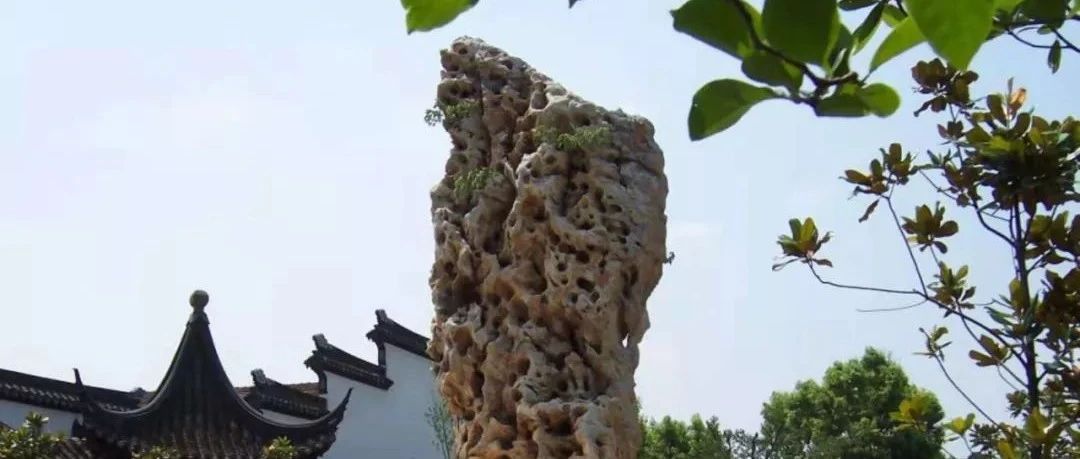 俞莹：“四大名石”溯古今