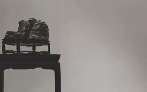 赏石观趣