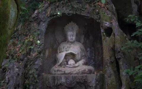 文甡：茶与佛学