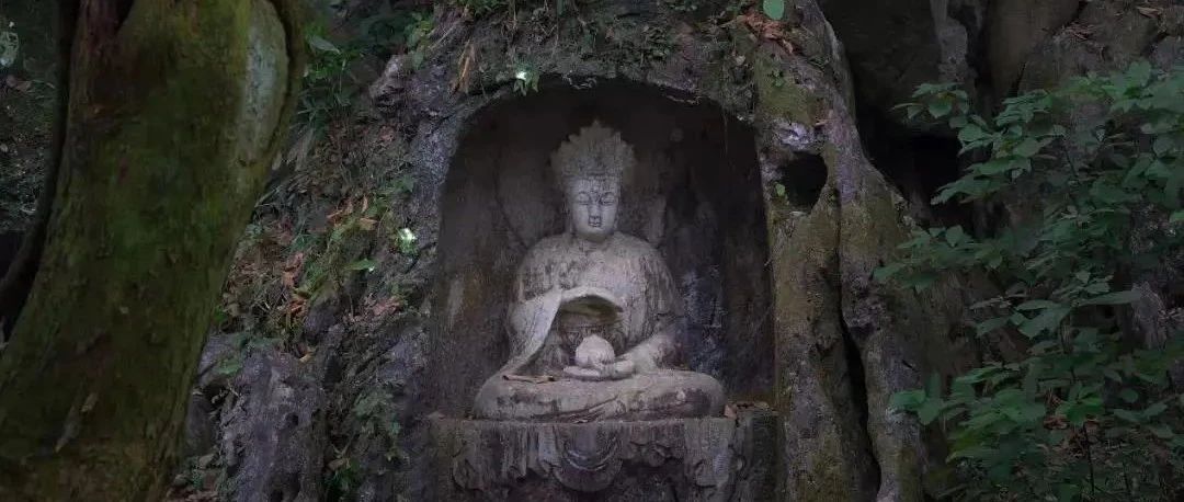 文甡：茶与佛学