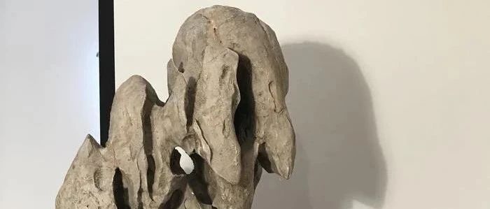 传统赏石，为何这般迷人