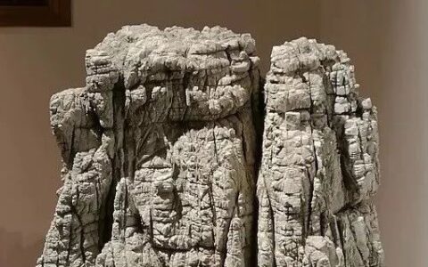 俞莹：石上“画”山水，古典赏石说皱皴