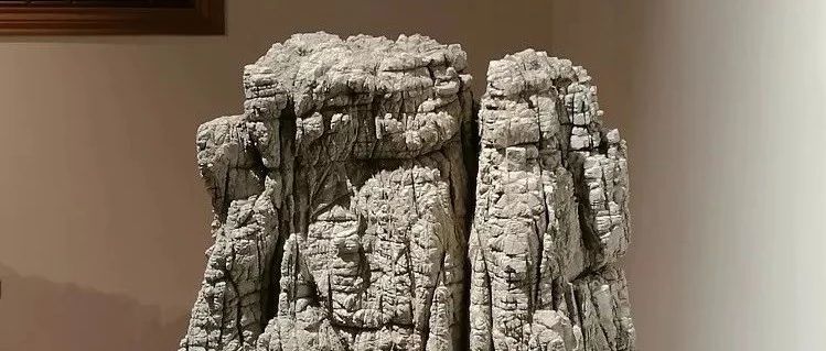 俞莹：石上“画”山水，古典赏石说皱皴