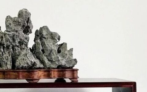 【谈古说今】传统赏石的内涵及其形式