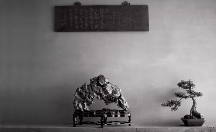 文人与赏石