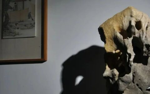 赏石，中国文人的乐此不疲