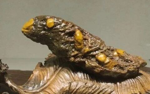 戈壁石里的精彩世界