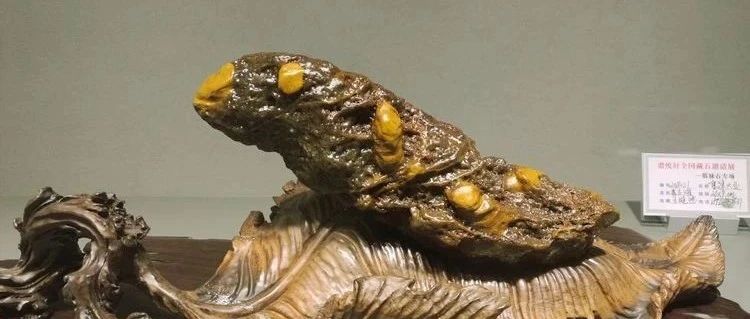 戈壁石里的精彩世界