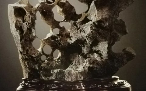 张卫：当代的“先锋派赏石”