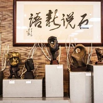 赏石艺术的新展演方式。