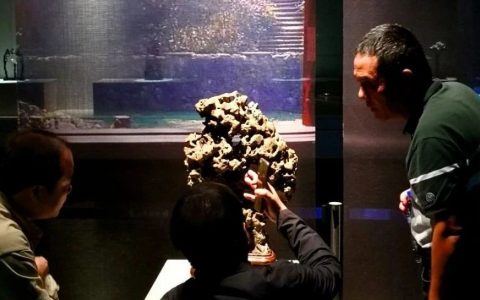 山海天地，精致赏石重塑古典传奇的探索与实践