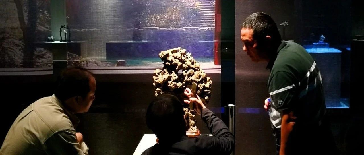 山海天地，精致赏石重塑古典传奇的探索与实践
