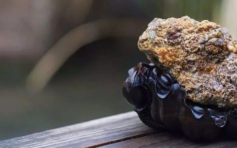 人生无需奢侈，只要一间书房赏石