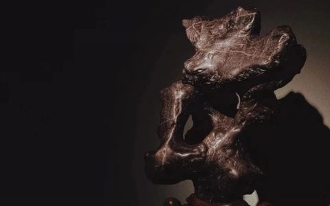 杜海鸥：石不能言，幽人传声