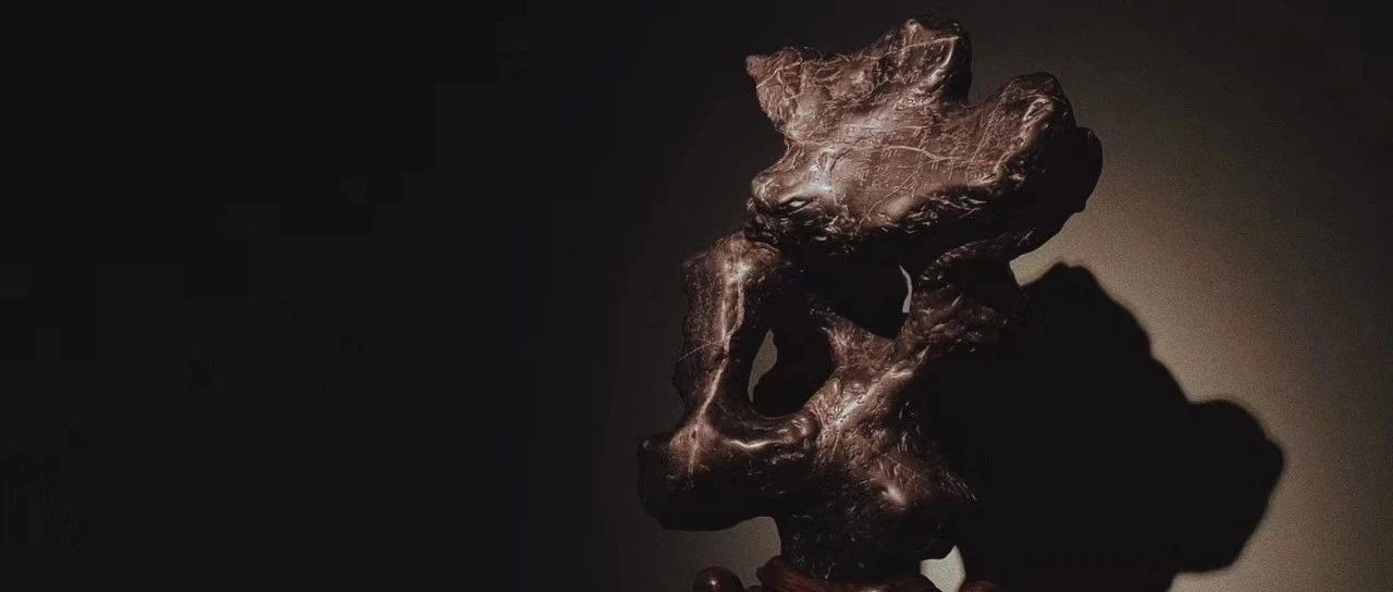 杜海鸥：石不能言，幽人传声
