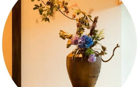 一花一世界
