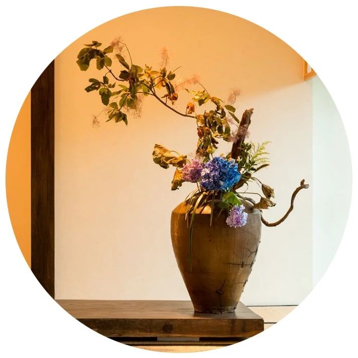 一花一世界