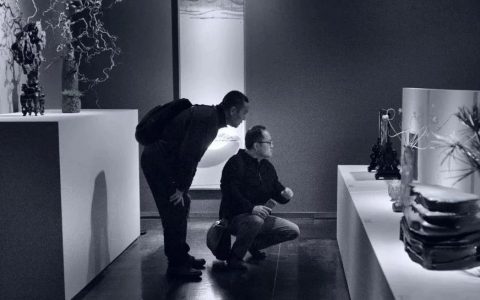 石不能言诗境观｜“石非石”2020上海展参想