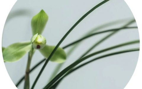 四时草木，闲度光阴