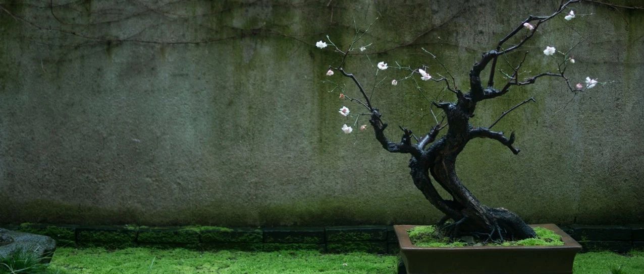 有间书房，余生不荒