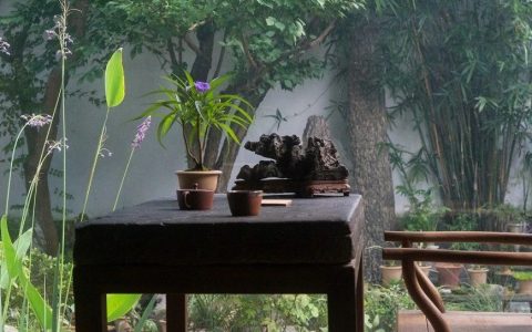 闲居赏画，足愈俗情