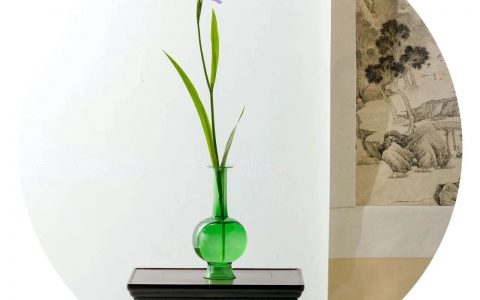 瓶花寄闲情